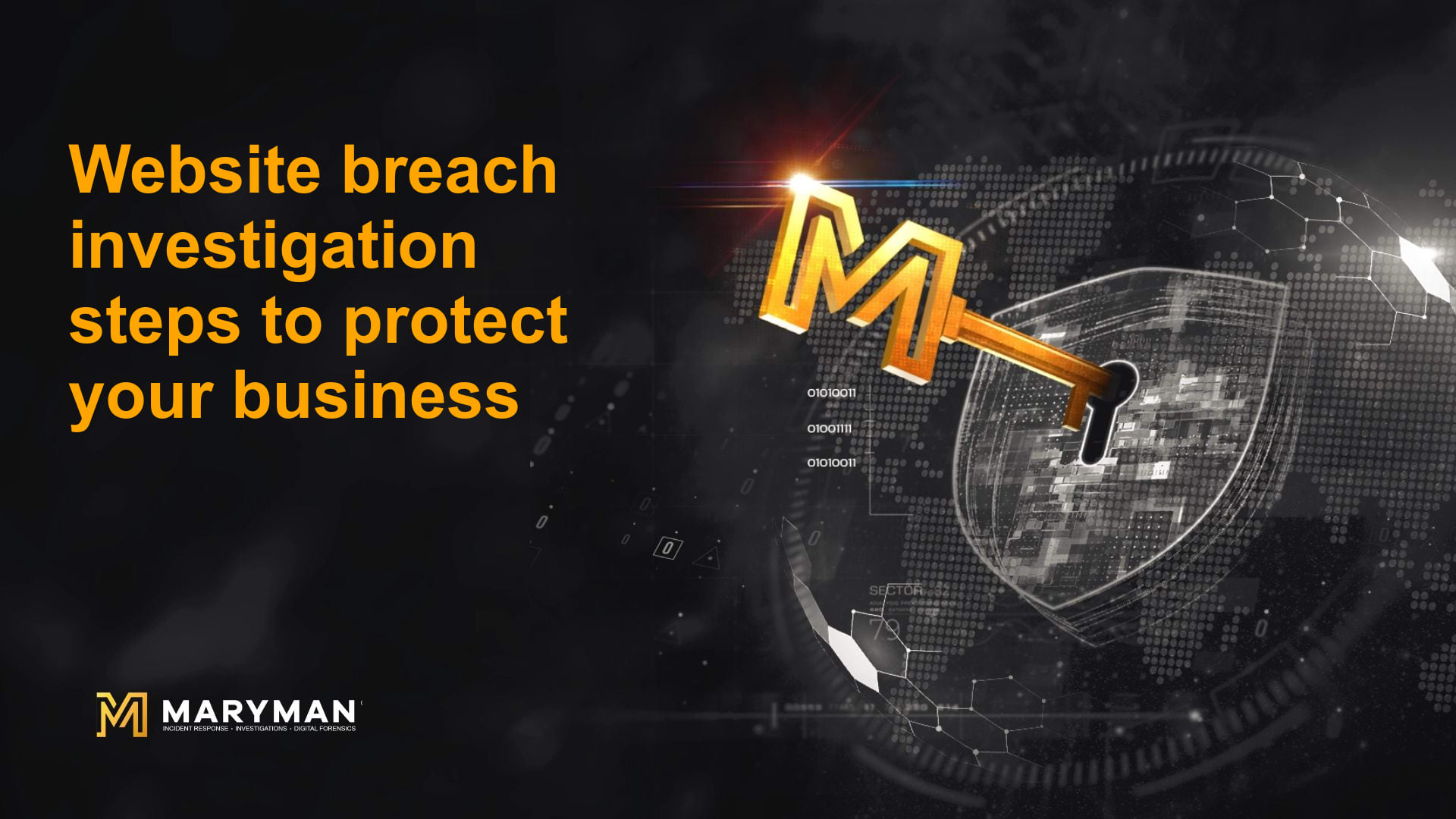 Website breach investigation steps to protect your business