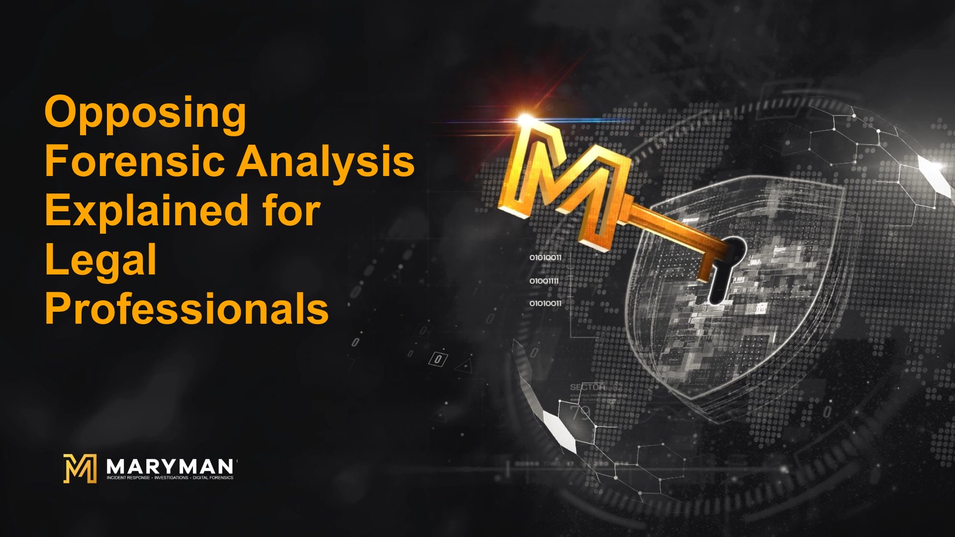 Opposing Forensic Analysis Explained for Legal Professionals